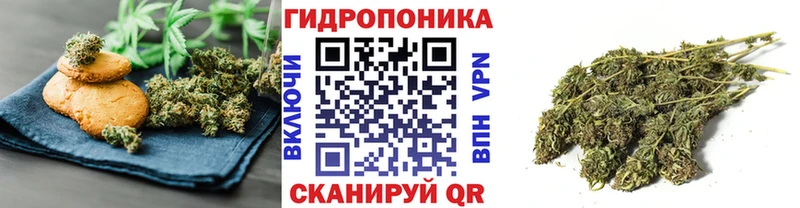 купить закладку  Новый Уренгой  Canna-Cookies конопля 