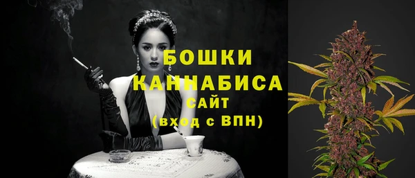 индика Карталы