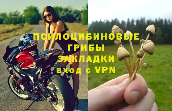 а пвп мука Аркадак