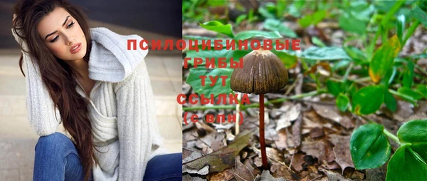хмурый Карпинск