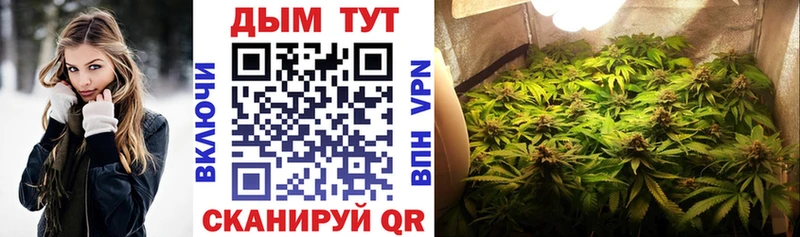 сайты даркнета Telegram  Новый Уренгой  Канабис семена 